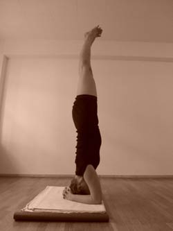 Sirsasana - Lone Kristensen, certificeret Iyengar Yoga lrer. Underviser p Satya-Yoga Cph.