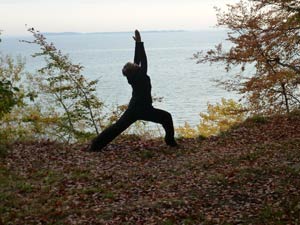 Virabhadrasana 1